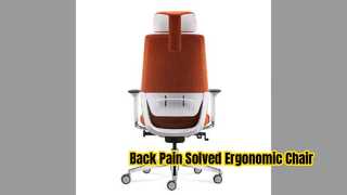 Penyesuaian Dukungan Lumbar Kursi Jaring Ergonomis
